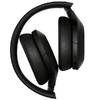 Sony WH-H910N