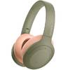 Sony WH-H910N