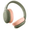 Sony WH-H910N