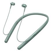 Sony WI-H700