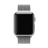 Apple Watch 38mm Stainless Steel with Milanese Loop (MJ322)