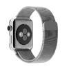 Apple Watch 38mm Stainless Steel with Milanese Loop (MJ322)