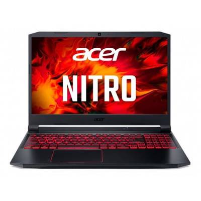 Acer Nitro 5 AN515-56-79JJ NH.QANEU.007