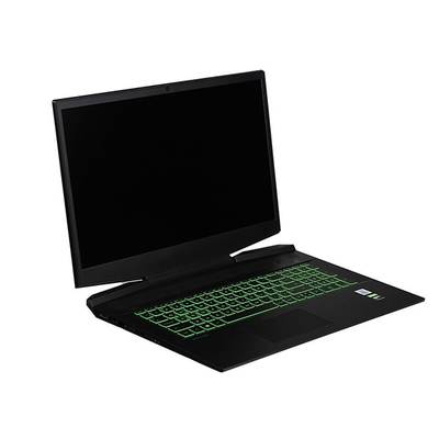 HP Pavilion Gaming 17-cd1061ur