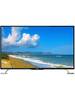 Polar P50U51T2SCSM Polar P50U51T2SCSM