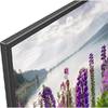 Sony KDL-43WF804