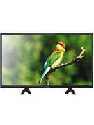 Витязь 24LH1202