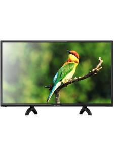 Витязь 24LH1202