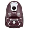 Пылесос Tefal TW3999EA