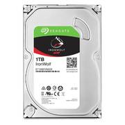 Seagate Ironwolf 1TB ST1000VN002