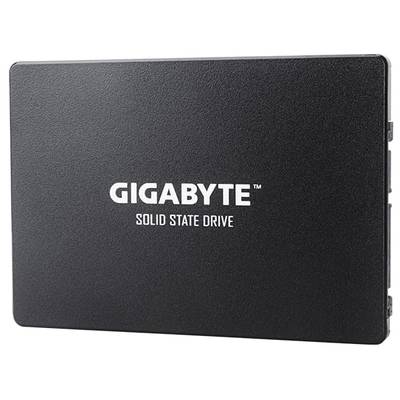 SSD Gigabyte 1TB GP-GSTFS31100TNTD 