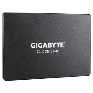 SSD Gigabyte 256GB GP-GSTFS31256GTND