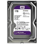 Жесткий диск WD Purple 1TB