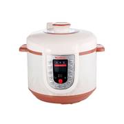 Мультиварка-скороварка Moulinex CE501132