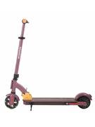 Электросамокат AccesStyle Panda 13S