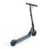 Электросамокат Ninebot By Segway eKickScooter Zing E10 с влагозащитой
