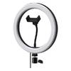 Кольцевая лампа Ritmix RRL-261
