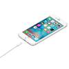 Кабель Apple Lightning/USB (1 м) MXLY2ZM/A