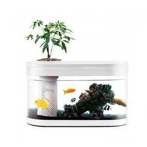 Аква-ферма Xiaomi Descriptive Geometry Lucky Amphibious