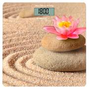 Scarlett SC-BS33E093