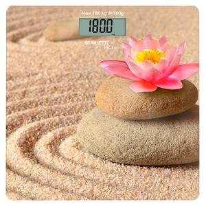 Scarlett SC-BS33E093