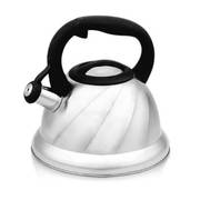 Чайник Lara LR00-55