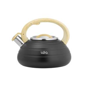 Чайник Lara LR00-80