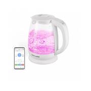 Электрический чайник Redmond SkyKettle RK-G211S