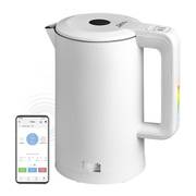 Электрочайник Redmond SkyKettle RK-M216S