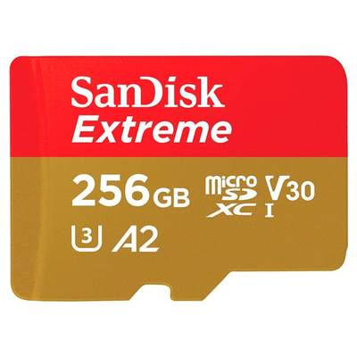 Карта памяти SanDisk Extreme microSDXC SDSQXA1-256G-GN6MN 256GB