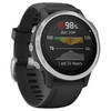 Garmin Fenix 6s
