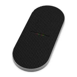 Сетевое зарядное Ritmix RM-4000W