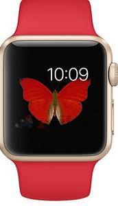 Apple Watch Sport MMEE2