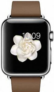 Apple Watch 38mm Stainless Steel with Brown Modern Buckle (MJ3A2)