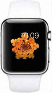 Apple Watch 38mm Stainless Steel with White Sport Band (MJ302)