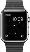 Apple Watch 42mm Stainless Steel with Black Leather Loop (MJYN2)