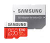 Samsung EVO Plus microSDXC 256GB