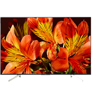 Sony KD-55XF8596