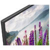 Sony KDL-49WF805
