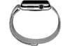 Apple Watch 38mm Stainless Steel with Milanese Loop (MJ322)