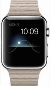 Apple Watch 42mm Stainless Steel with Stone Leather Loop (MJ432)