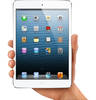 Apple iPad mini 128GB 4G (2-ое поколение) Apple iPad mini 128GB 4G (2-ое поколение)