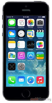 Apple iPhone 5s (64GB)