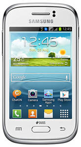 Samsung Galaxy Young Duos (S6312)