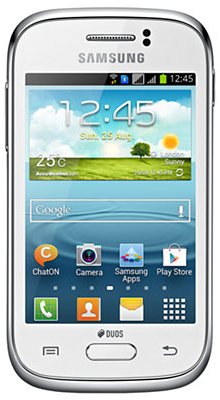 Samsung Galaxy Young Duos (S6312)
