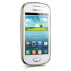 Samsung Galaxy Fame (S6810)