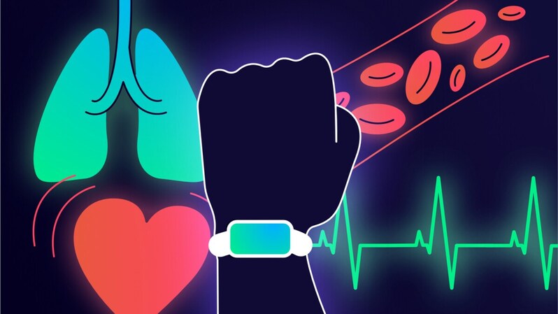VO2max, SpO2, ЭКГ: как умные часы заботятся о вашем сердце