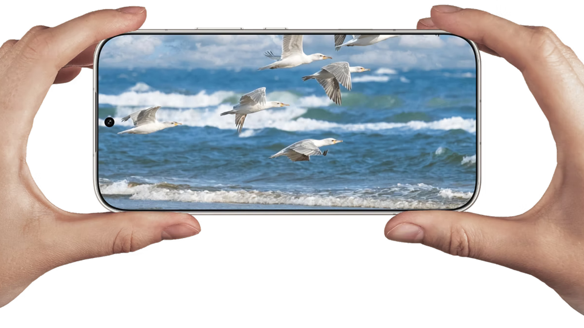 HONOR 600 дисплей