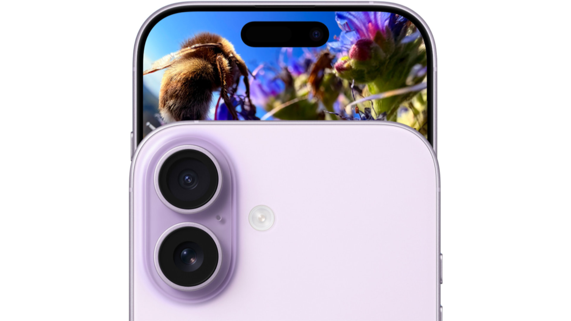 iPhone 17 камера