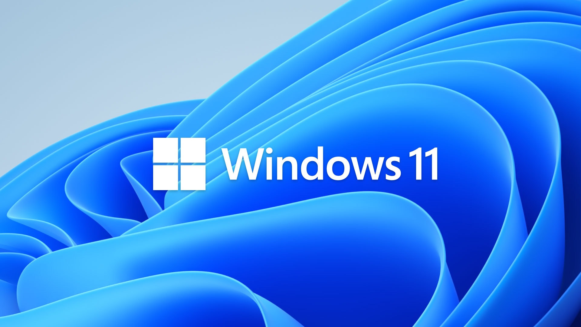Windows 11 лого